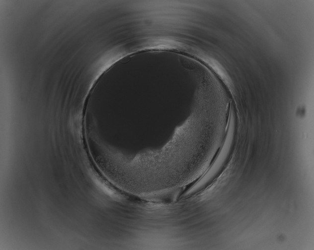 X0000102490850200808081327