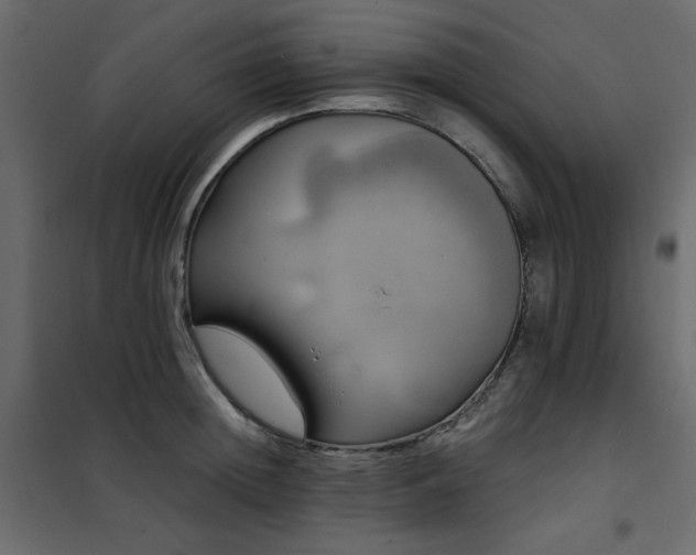 X0000102490852200808081327