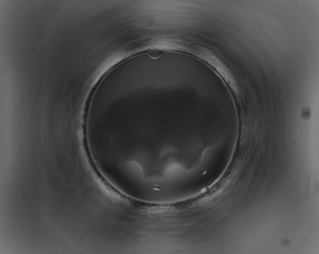 X0000102490853200808081327