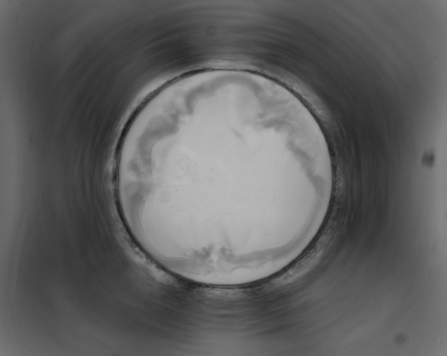 X0000102490856200808081327