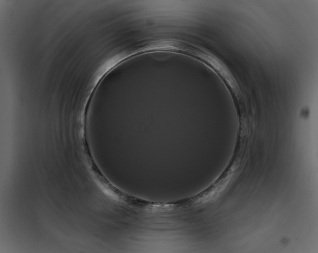 X0000102490858200808081327