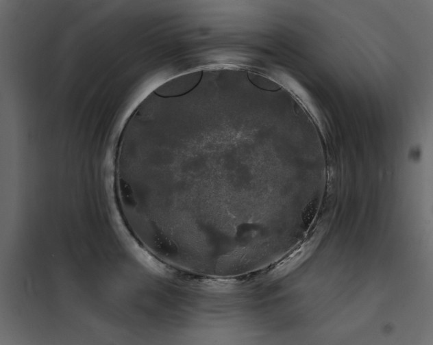 X0000102490859200808081327