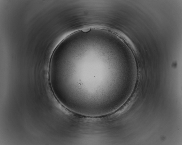 X0000102490860200808081327