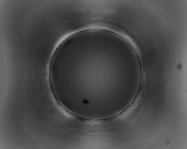 X0000102490862200808081327