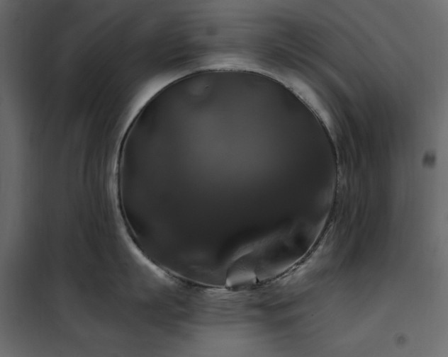 X0000102490863200808081327