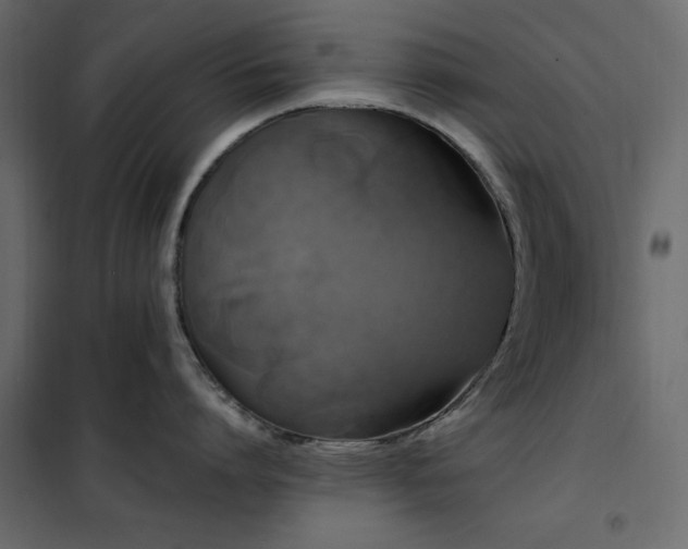 X0000102490864200808081327