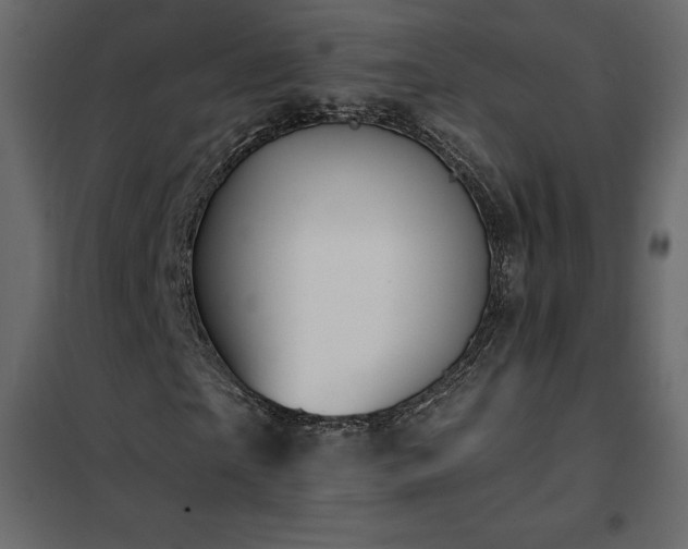 X0000102490865200808081326