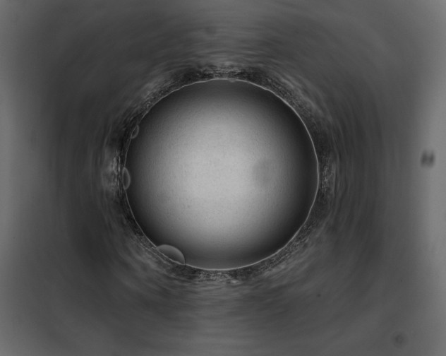 X0000102490866200808081326