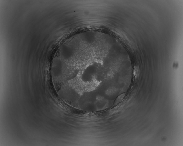 X0000102490867200808081326