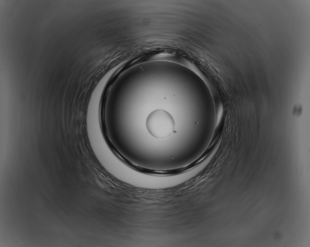 X0000102490868200808081326