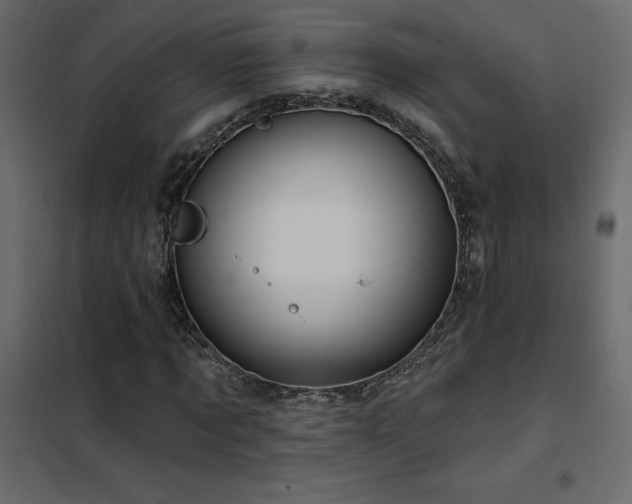 X0000102490869200808081326