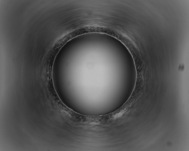 X0000102490870200808081326