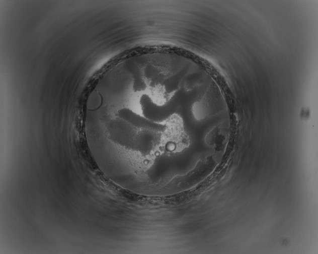X0000102490871200808081326