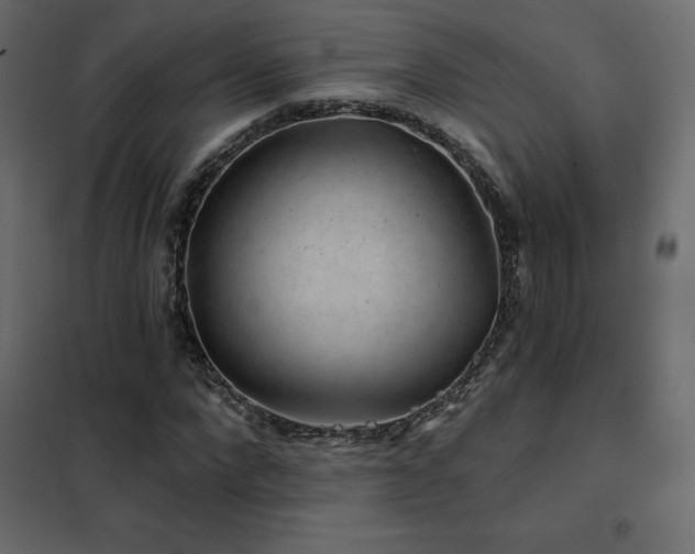 X0000102490872200808081326