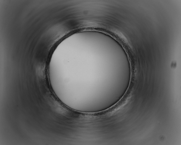 X0000102490873200808081326