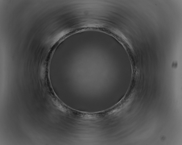 X0000102490874200808081326