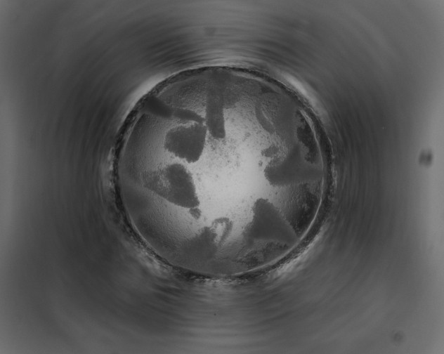 X0000102490875200808081326