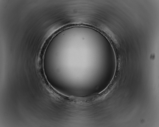 X0000102490876200808081326