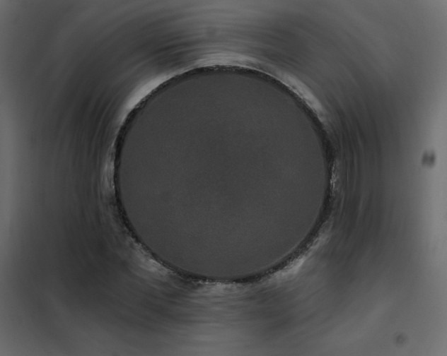 X0000102490877200808081326