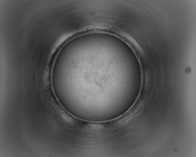 X0000102490878200808081326