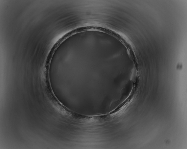 X0000102490879200808081326
