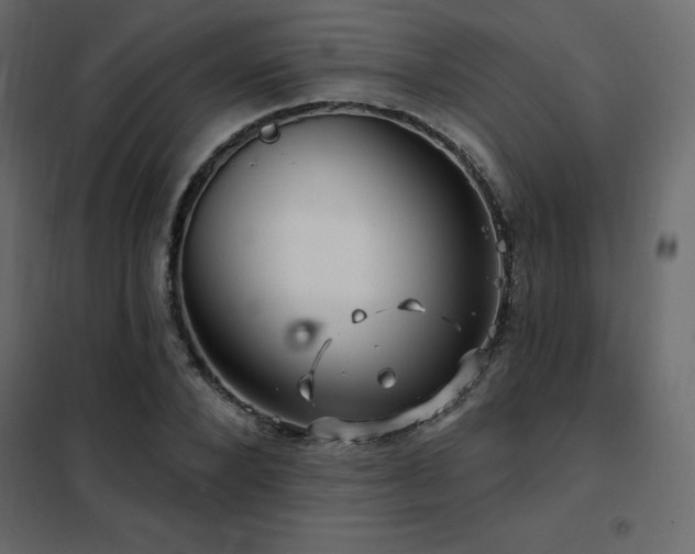 X0000102490880200808081326