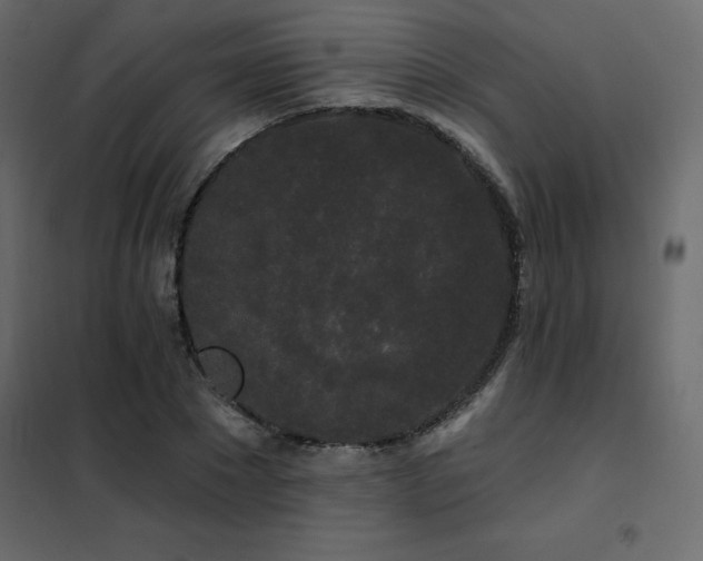 X0000102490881200808081326