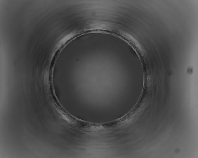 X0000102490882200808081326
