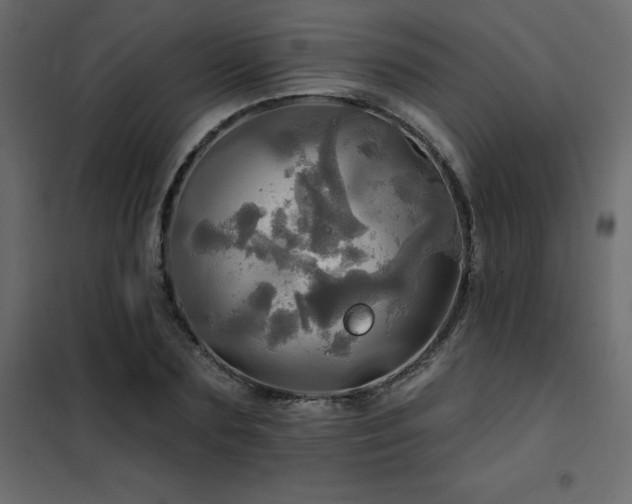X0000102490883200808081326