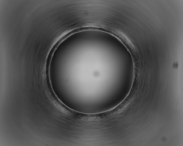 X0000102490884200808081326