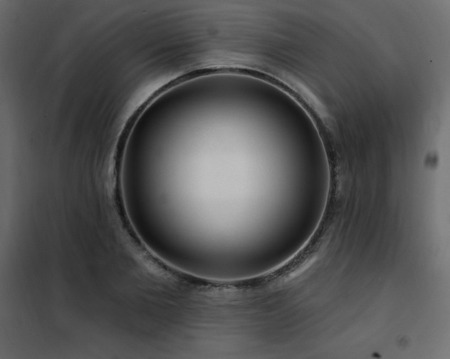 X0000102490885200808081326
