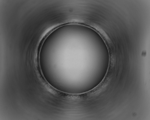 X0000102490886200808081326