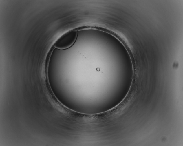X0000102490887200808081326