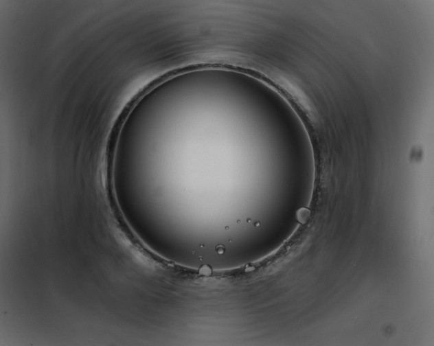 X0000102490888200808081326