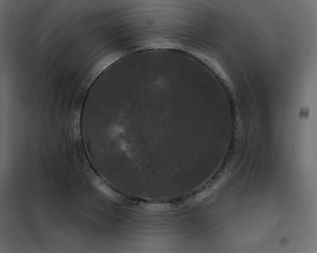 X0000102490889200808081326