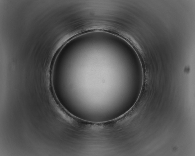X0000102490890200808081326