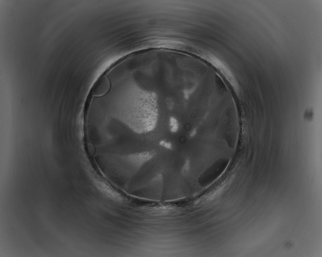 X0000102490891200808081326