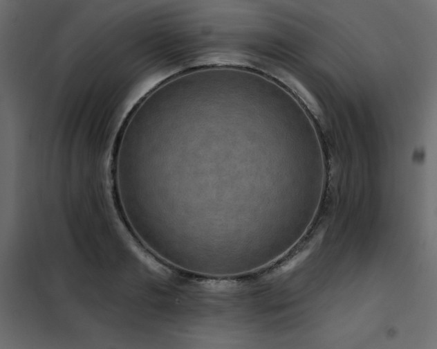 X0000102490893200808081326