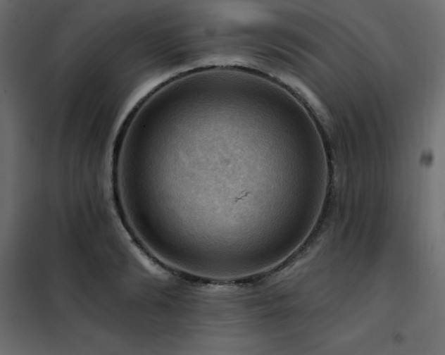 X0000102490894200808081326