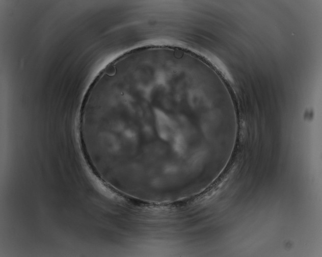 X0000102490895200808081326