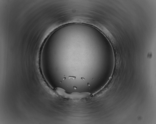 X0000102490896200808081326
