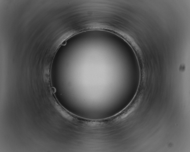 X0000102490897200808081326