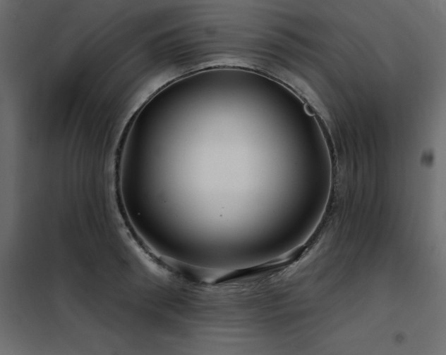 X0000102490898200808081326
