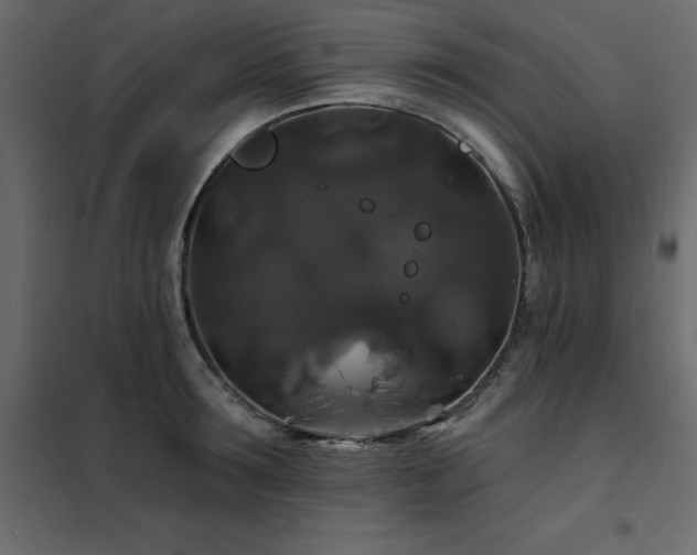 X0000102490899200808081326