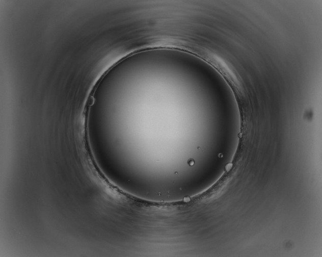 X0000102490900200808081326
