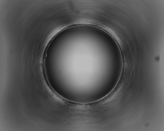 X0000102490901200808081326