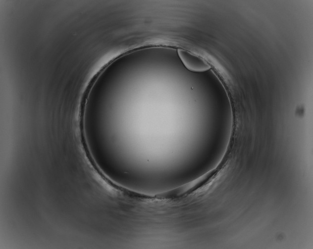 X0000102490902200808081326