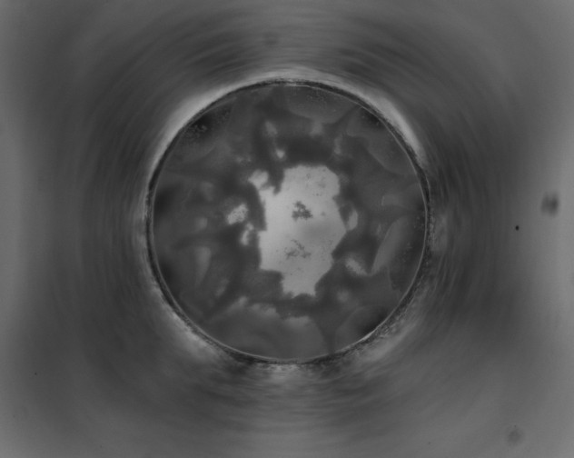 X0000102490903200808081326
