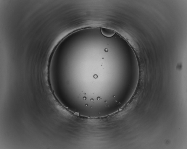 X0000102490904200808081326