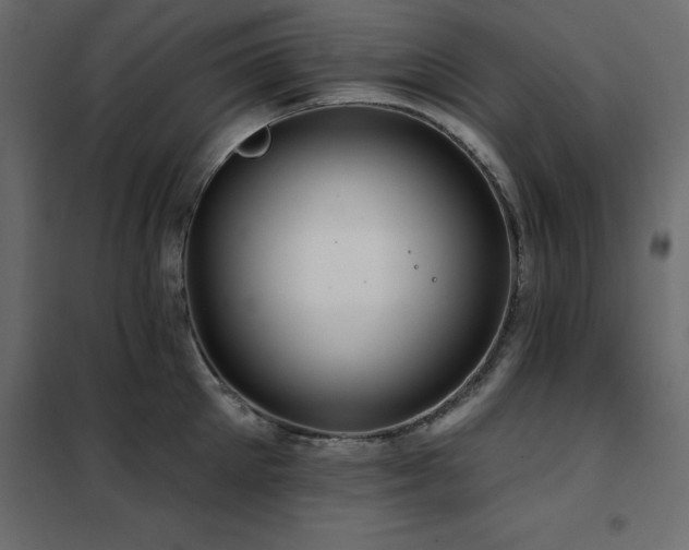 X0000102490905200808081326